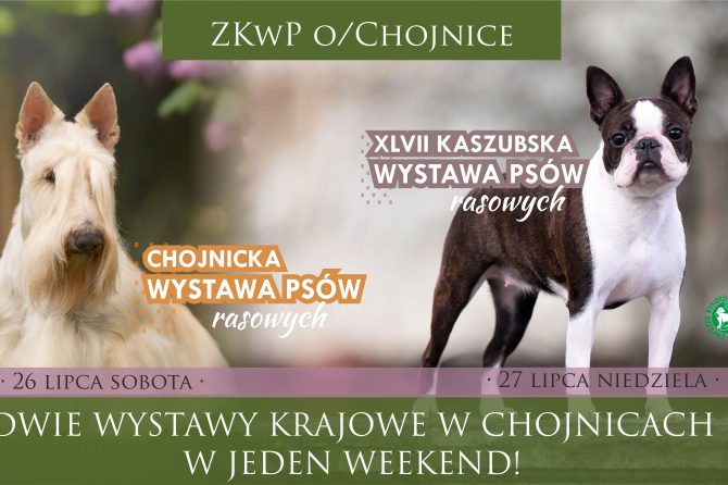 Chojnicka Krajowa Wystawa Psów Rasowych 2025